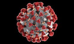 കണ്ണൂര് ജില്ലയില് ഇന്ന് 400 പേര്ക്ക് കൂടി കൊവിഡ്; 371 പേര്ക്ക് സമ്പര്ക്കത്തിലൂടെ കണ്ണൂര് ജില്ലയില് ഇന്ന് 400 പേര്ക്ക് കൂടി കൊവിഡ്; 371 പേര്ക്ക് സമ്പര്ക്കത്തിലൂടെ