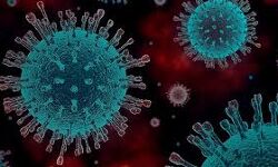 കോഴിക്കോട് ജില്ലയില് 806 പേര്ക്ക് കൊവിഡ്; രോഗമുക്തി 1029 കോഴിക്കോട് ജില്ലയില് 806 പേര്ക്ക് കൊവിഡ്; രോഗമുക്തി 1029