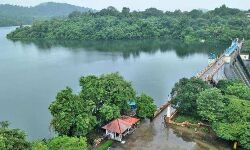 പീച്ചി ഡാം ബൊട്ടാണിക്കൽ ഗാർഡൻ സൗന്ദര്യവൽക്കരണം ഉദ്ഘാടനം ഇന്ന്