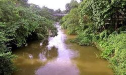 പൂനൂര്‍ പുഴ നവീകരണത്തിന്    ഒന്നരക്കോടി രൂപയുടെ പദ്ധതി