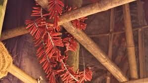 തമിഴ്നാട്ടില് പടക്ക നിര്മാണശാലയില് സ്ഫോടനം; അഞ്ച് മരണം തമിഴ്നാട്ടില് പടക്ക നിര്മാണശാലയില് സ്ഫോടനം; അഞ്ച് മരണം