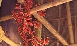 เดคเดฎเดฟเดดเตโเดจเดพเดเตเดเดฟเดฒเตโ เดชเดเดเตเด เดจเดฟเดฐเตโเดฎเดพเดฃเดถเดพเดฒเดฏเดฟเดฒเตโ เดธเตโเดซเตเดเดจเด; เด
เดเตเดเต เดฎเดฐเดฃเด เดคเดฎเดฟเดดเตโเดจเดพเดเตเดเดฟเดฒเตโ เดชเดเดเตเด เดจเดฟเดฐเตโเดฎเดพเดฃเดถเดพเดฒเดฏเดฟเดฒเตโ เดธเตโเดซเตเดเดจเด; เด
เดเตเดเต เดฎเดฐเดฃเด