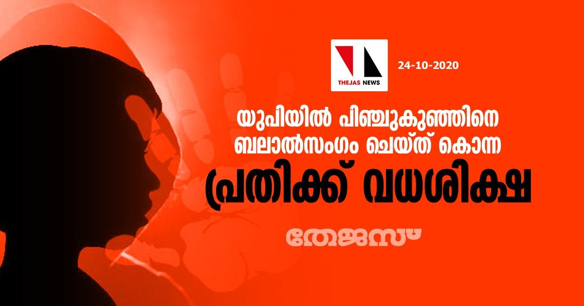 യുപിയില്‍ പിഞ്ചുകുഞ്ഞിനെ ബലാല്‍സംഗം ചെയ്ത് കൊന്ന പ്രതിക്ക് വധശിക്ഷ