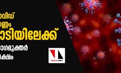 ലോകത്തെ കൊവിഡ് ബാധിതരുടെ എണ്ണം 4.25 കോടിയിലേക്ക്; 3.14 കോടി രോഗമുക്തര്‍; മരണം   11.49 ലക്ഷം