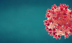 വയനാട് ജില്ലയില് 79 പേര്ക്ക് കൊവിഡ്; 126 പേര്ക്ക് രോഗമുക്തി വയനാട് ജില്ലയില് 79 പേര്ക്ക് കൊവിഡ്; 126 പേര്ക്ക് രോഗമുക്തി