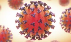 കണ്ണൂരില്‍ 497 പേര്‍ക്ക് കൊവിഡ് സ്ഥിരീകരിച്ചു