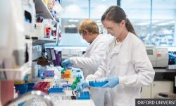 ഓക്‌സ്ഫഡ് കൊവിഡ്‌  വാക്‌സിന്‍ പ്രതീക്ഷിച്ച ഫലം തരുന്നതായി ഗവേഷകര്‍