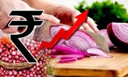 เดตเดฟเดฒเดเตเดเดฏเดฑเตเดฑเด: เดจเตเดฐเดฟเดเตเดเตเดณเตเดณ เดธเดเดญเดฐเดฃเดคเตเดคเดฟเดจเต เดธเดนเดพเดฏเดฎเดญเตเดฏเดฐเตโเดฅเดฟเดเตเดเต เดฎเดนเดฐเดพเดทเตเดเตเดฐเดเตเดเตเด เดคเดฎเดฟเดดเตโเดจเดพเดเดฟเดจเตเด เดฎเตเดเตเดฏเดฎเดจเตเดคเตเดฐเดฟ เดเดคเตเดคเดฏเดเตเดเต เดตเดฟเดฒเดเตเดเดฏเดฑเตเดฑเด: เดจเตเดฐเดฟเดเตเดเตเดณเตเดณ เดธเดเดญเดฐเดฃเดคเตเดคเดฟเดจเต เดธเดนเดพเดฏเดฎเดญเตเดฏเดฐเตโเดฅเดฟเดเตเดเต เดฎเดนเดฐเดพเดทเตเดเตเดฐเดเตเดเตเด เดคเดฎเดฟเดดเตโเดจเดพเดเดฟเดจเตเด เดฎเตเดเตเดฏเดฎเดจเตเดคเตเดฐเดฟ เดเดคเตเดคเดฏเดเตเดเต