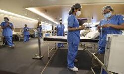 เดชเดพเดฒเดเตเดเดพเดเต เดเดฟเดฒเตเดฒเดฏเดฟเดฒเตโ เดเดจเตเดจเต 276 เดชเตเดฐเตโเดเตเดเต เดเตเดตเดฟเดกเต เดธเตเดฅเดฟเดฐเตเดเดฐเดฟเดเตเดเต เดชเดพเดฒเดเตเดเดพเดเต เดเดฟเดฒเตเดฒเดฏเดฟเดฒเตโ เดเดจเตเดจเต 276 เดชเตเดฐเตโเดเตเดเต เดเตเดตเดฟเดกเต เดธเตเดฅเดฟเดฐเตเดเดฐเดฟเดเตเดเต