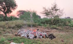 ഹാഥ്റസ്: സുപ്രിംകോടതി വിധി ഇന്ന് ഹാഥ്റസ്: സുപ്രിംകോടതി വിധി ഇന്ന്