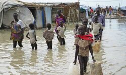 മഴ നാശം വിതച്ച സുഡാനിൽ ഖത്തർ ചാരിറ്റിയുടെ സഹായം