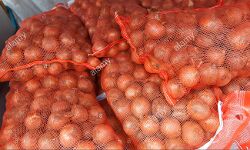 സവാള മോഷ്ടിച്ചവരെ അറസ്റ്റു ചെയ്തു