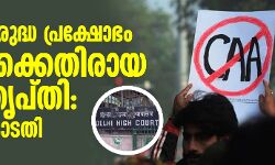 സിഎഎ വിരുദ്ധ പ്രക്ഷോഭം ഇന്ത്യയ്ക്കെതിരായ അസംതൃപ്തി: ഡല്‍ഹി കോടതി