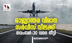 രാജ്യാന്തര വിമാന സര്‍വീസ് വിലക്ക് നവംബര്‍ 30 വരെ നീട്ടി
