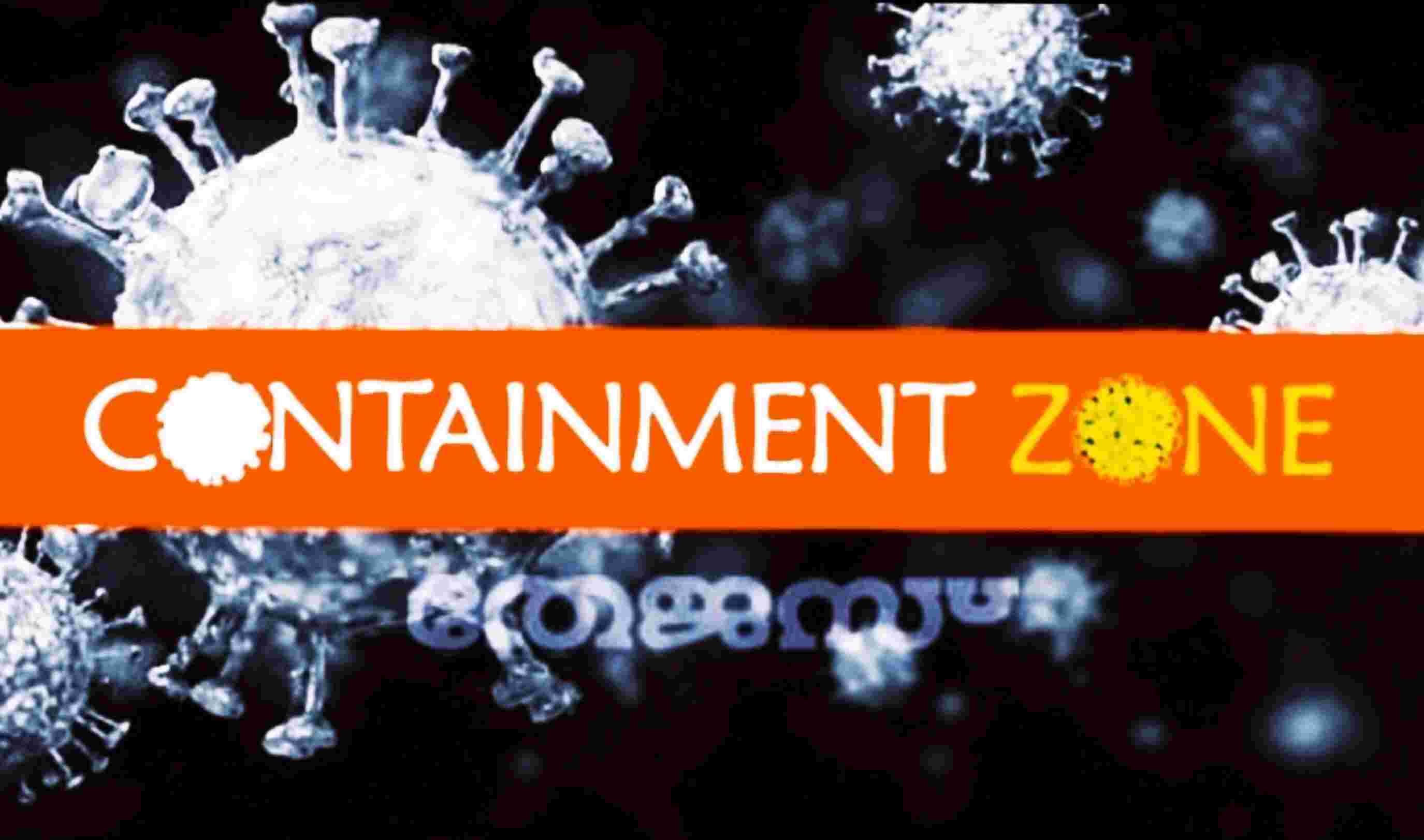 30 ൽ കൂടുതൽ കൊവിഡ് കേസ് വന്നാൽ പഞ്ചായത്ത് മൊത്തം അടച്ചിടില്ല 30 ൽ കൂടുതൽ കൊവിഡ് കേസ് വന്നാൽ പഞ്ചായത്ത് മൊത്തം അടച്ചിടില്ല