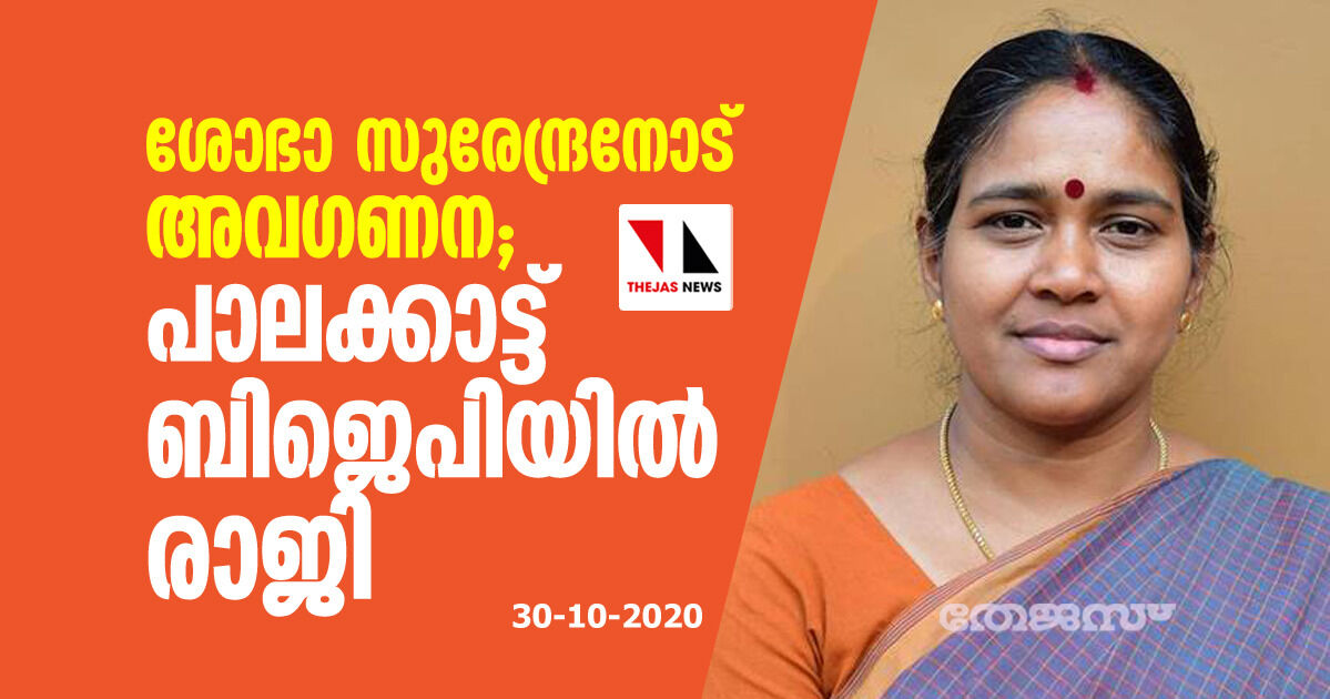 ശോഭാ സുരേന്ദ്രനോട് അവഗണന; പാലക്കാട്ട് ബിജെപിയില്‍ രാജി