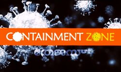 30 ൽ കൂടുതൽ കൊവിഡ് കേസ് വന്നാൽ പഞ്ചായത്ത്‌ മൊത്തം അടച്ചിടില്ല