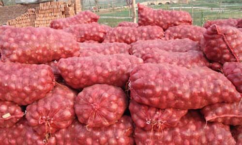 ഒരു ലോഡ് സവാളയുമായി ഡ്രൈവര് മുങ്ങിയെന്ന് പരാതി ഒരു ലോഡ് സവാളയുമായി ഡ്രൈവര് മുങ്ങിയെന്ന് പരാതി