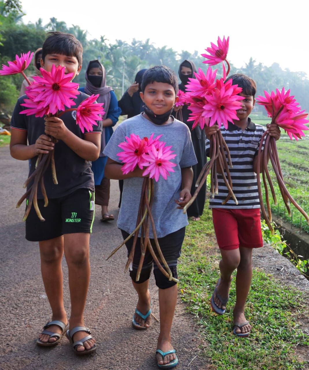 ചെറുമുക്കിലെ ആമ്പല്പാടം: സന്ദര്ശകര്ക്ക് വിലക്ക് ഏര്പ്പെടുത്തി ചെറുമുക്കിലെ ആമ്പല്പാടം: സന്ദര്ശകര്ക്ക് വിലക്ക് ഏര്പ്പെടുത്തി