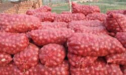 ഒരു ലോഡ് സവാളയുമായി ഡ്രൈവര്‍ മുങ്ങിയെന്ന് പരാതി