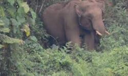 เดเดฃเตเดฃเตเดฐเดฟเดฒเตโ เดฏเตเดตเดพเดตเดฟเดจเต เดเดพเดเตเดเดพเดจ เดเดตเดฟเดเตเดเดฟเดเตเดจเตเดจเต เดเดฃเตเดฃเตเดฐเดฟเดฒเตโ เดฏเตเดตเดพเดตเดฟเดจเต เดเดพเดเตเดเดพเดจ เดเดตเดฟเดเตเดเดฟเดเตเดจเตเดจเต