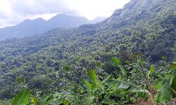 പരിസ്ഥിതി ലോല മേഖല പുനര്‍നിര്‍ണ്ണയം കര്‍ഷക വിരുദ്ധം