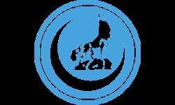 ടര്‍ക്കിഷ് ഗ്രൂപ്പായ ഗ്രേ വോള്‍വ്‌സിനെ നിരോധിക്കാനൊരുങ്ങി ഫ്രാന്‍സ്