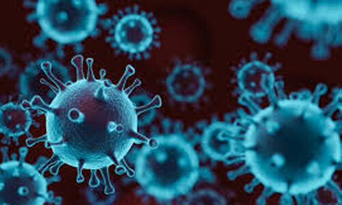 വയനാട് ജില്ലയില്‍ 210 പേര്‍ക്ക് കൂടി കൊവിഡ്, 110 പേര്‍ക്ക് രോഗമുക്തി