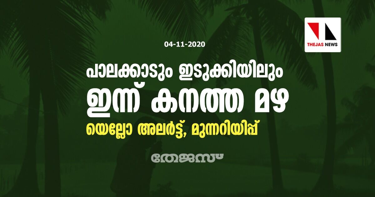 പാലക്കാടും ഇടുക്കിയിലും ഇന്ന് കനത്ത മഴ; യെല്ലോ അലര്‍ട്ട്, മുന്നറിയിപ്പ്