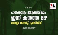 പാലക്കാടും ഇടുക്കിയിലും ഇന്ന് കനത്ത മഴ; യെല്ലോ അലര്‍ട്ട്, മുന്നറിയിപ്പ്