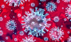 കൊവിഡ് ബാധിച്ച് യുവാവ് മരിച്ചു