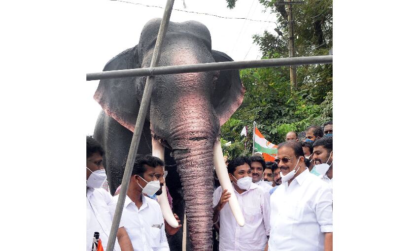 കാട്ടാനയെ കൂട്ടില് തളച്ച് യൂത്ത് കോണ്ഗ്രസ് സമരം കാട്ടാനയെ കൂട്ടില് തളച്ച് യൂത്ത് കോണ്ഗ്രസ് സമരം
