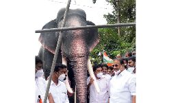 കാട്ടാനയെ കൂട്ടില്‍ തളച്ച് യൂത്ത് കോണ്‍ഗ്രസ് സമരം