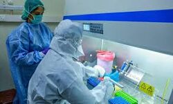 เดเตเดตเดฟเดกเดพเดจเดจเตเดคเดฐ เดเดฐเตเดเตเดฏเดชเตเดฐเดถเตเดจเดเตเดเดณเตโ; เดเดฐเตเดเตเดฏ เดเตเดจเตเดฆเตเดฐเดเตเดเดณเดฟเดฒเตโ เดเตเดฒเดฟเดจเดฟเดเต เดเดฐเดเดญเดฟเดเตเดเต เดเตเดตเดฟเดกเดพเดจเดจเตเดคเดฐ เดเดฐเตเดเตเดฏเดชเตเดฐเดถเตเดจเดเตเดเดณเตโ; เดเดฐเตเดเตเดฏ เดเตเดจเตเดฆเตเดฐเดเตเดเดณเดฟเดฒเตโ เดเตเดฒเดฟเดจเดฟเดเต เดเดฐเดเดญเดฟเดเตเดเต