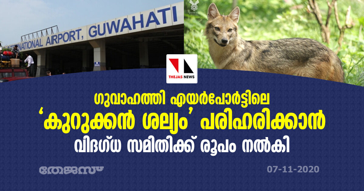ഗുവാഹത്തി എയര്പോര്ട്ടിലെ കുറുക്കന് ശല്യം പരിഹരിക്കാന് വിദഗ്ധ സമിതിക്ക് രൂപം നല്കി ഗുവാഹത്തി എയര്പോര്ട്ടിലെ കുറുക്കന് ശല്യം പരിഹരിക്കാന് വിദഗ്ധ സമിതിക്ക് രൂപം നല്കി