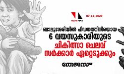 ബാലുശേരിയില്‍ പീഡനത്തിനിരയായ 6 വയസുകാരിയുടെ ചികിത്സാ ചെലവ് സര്‍ക്കാര്‍ ഏറ്റെടുക്കും