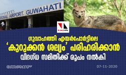 ഗുവാഹത്തി എയര്‍പോര്‍ട്ടിലെ കുറുക്കന്‍ ശല്യം പരിഹരിക്കാന്‍ വിദഗ്ധ സമിതിക്ക് രൂപം നല്‍കി