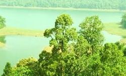 ആതിരപ്പിള്ളി പദ്ധതിക്ക് പിന്നാലെ ആനക്കയം ജലവൈദ്യുത പദ്ധതിയുമായി കെഎസ്ഇബി