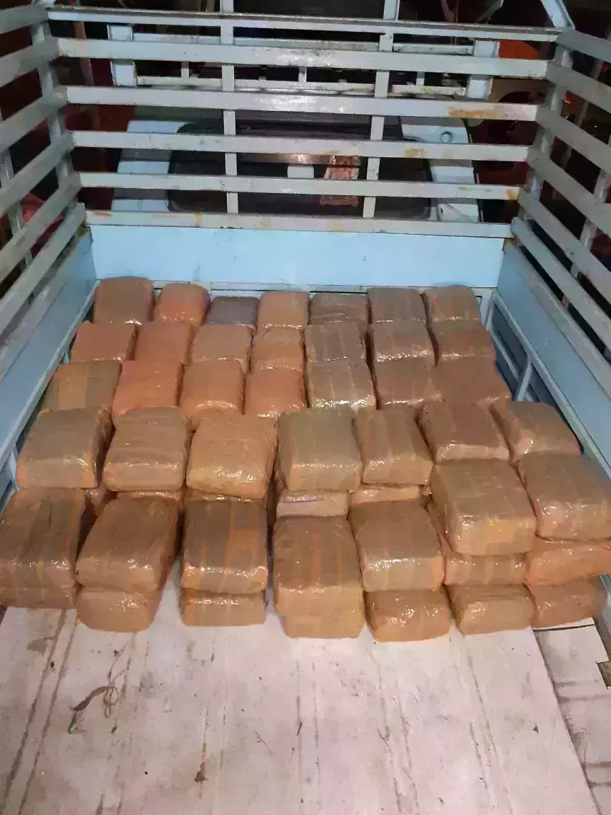 പാലക്കാട് മൂന്നുകോടിയുടെ കഞ്ചാവ് പിടികൂടി