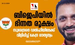 ബിജെപിയില്‍ ഭിന്നത രൂക്ഷം; സുരേന്ദ്രനെ ഡല്‍ഹിയിലേക്ക് വിളിപ്പിച്ച് കേന്ദ്ര നേതൃത്വം