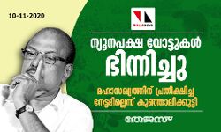 ന്യൂനപക്ഷ വോട്ടുകള്‍ ഭിന്നിച്ചു; മഹാസഖ്യത്തിന് പ്രതീക്ഷിച്ച നേട്ടമില്ലെന്ന് കുഞ്ഞാലിക്കുട്ടി