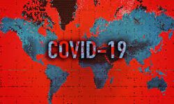 ലോകത്ത് 5.17 കോടി കൊവിഡ് ബാധിതര്, 12,78,449 മരണം ലോകത്ത് 5.17 കോടി കൊവിഡ് ബാധിതര്, 12,78,449 മരണം