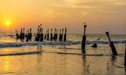 കൊവിഡ് പ്രോട്ടോകോള്‍ ലംഘനം; കോഴിക്കോട്, ബേപ്പൂര്‍ ബീച്ചുകളില്‍ പ്രവേശനം നിരോധിച്ചു