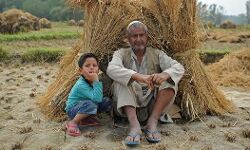 റോഷ്‌നി നിയമം ഒഴിവാക്കല്‍: ഭൂമി നഷ്ടപ്പെടുമെന്ന  ഭയത്തില്‍ കശ്മീരി കര്‍ഷകര്‍