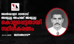 അല്‍ഖാഇദ നേതാവ് അബ്ദുല്ല അഹമ്മദ് അബ്ദുല്ല കൊല്ലപ്പെട്ടതായി സ്ഥിരീകരണം