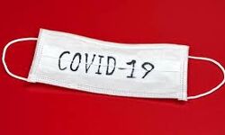 പാലക്കാട് ജില്ലയില്‍ ഇന്ന് 467 പേര്‍ക്ക് കൊവിഡ്; 484 പേര്‍ക്ക് രോഗമുക്തി