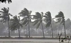 തുലാവര്‍ഷം ശക്തമാകുന്നു; സംസ്ഥാനത്ത് അടുത്ത അഞ്ച് ദിവസത്തേക്ക് ശക്തമായ മഴയ്ക്ക് സാധ്യത