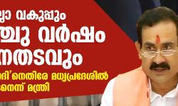 ജാമ്യമില്ലാ വകുപ്പും അഞ്ചു വര്‍ഷം കഠിനതടവും; ലൗ ജിഹാദിനെതിരേ മധ്യപ്രദേശില്‍ നിയമം ഉടനെന്ന് മന്ത്രി