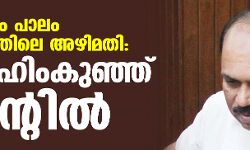 പാലാരിവട്ടം പാലം നിര്‍മാണത്തിലെ അഴിമതി: ഇബ്രാഹിംകുഞ്ഞ് റിമാന്റില്‍