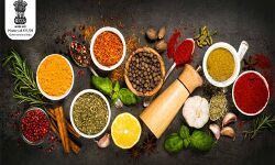 കൊവിഡ് രോ​ഗികൾക്ക് ആയുർവേദ ചികിത്സ തേടാനുള്ള അനുമതിയായി